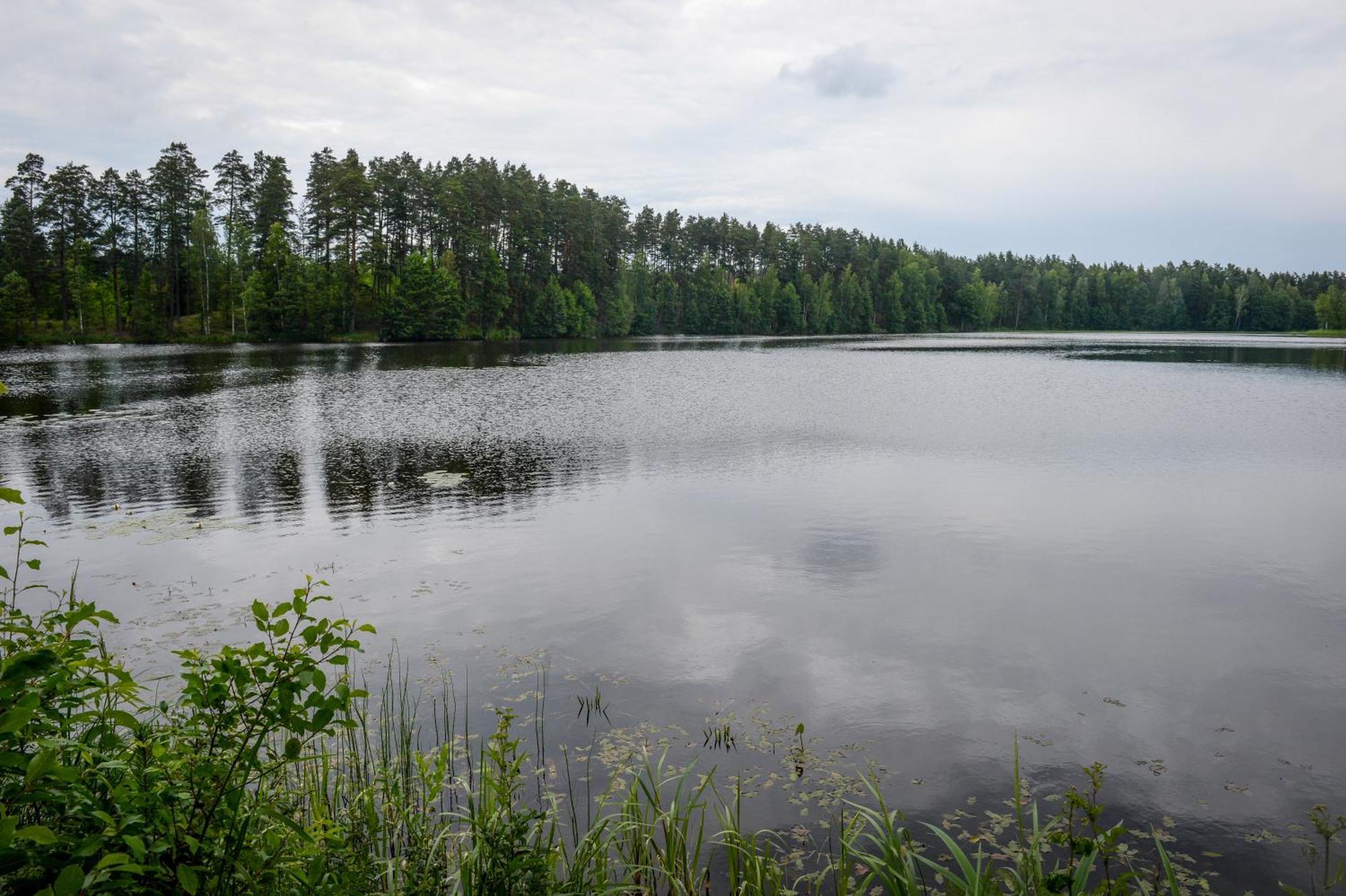 Alberta Diki Upesciems Стая снимка